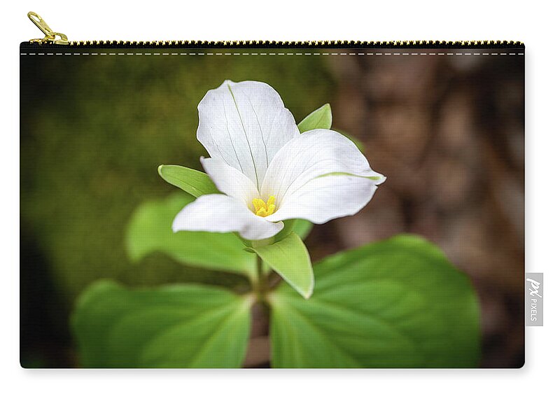 Wildflower Zip Pouch featuring the photograph Large White Trillium by Arthur Oleary