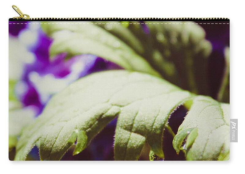 Larkspur Zip Pouch featuring the photograph Larkspur Leaf Water Drops by W Craig Photography