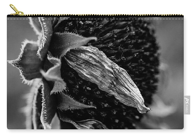 Sunflower Zip Pouch featuring the photograph Last Days of Summer by Bonny Puckett