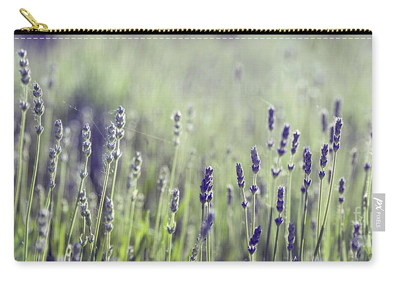 Lavender Zip Pouch featuring the photograph Lavender flower in field by Jelena Jovanovic