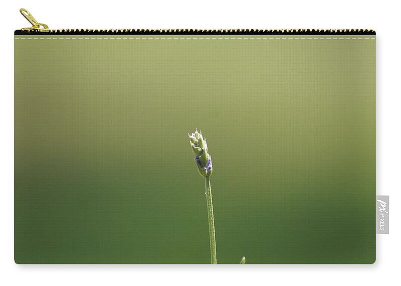  Carry-all Pouch featuring the photograph Lavender by Heather E Harman