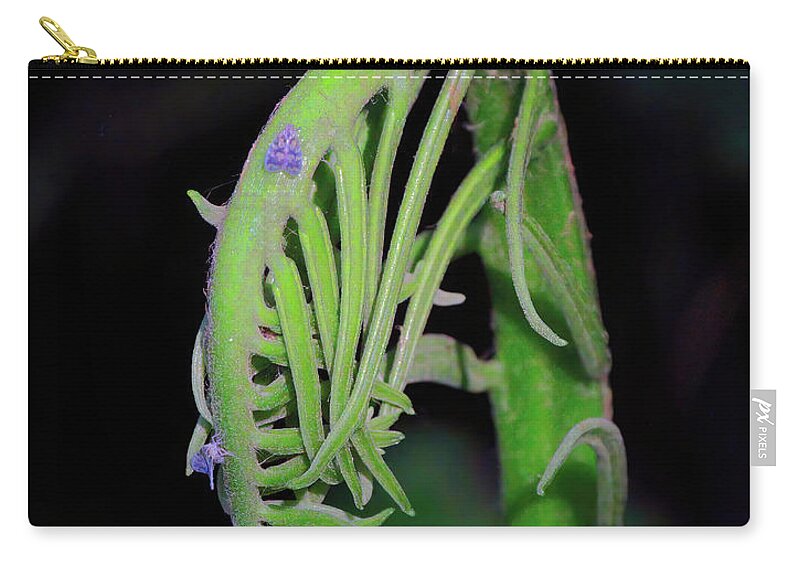 Insect Zip Pouch featuring the photograph Lavender Moths by Marvin Spates