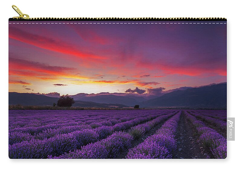 Dusk Zip Pouch featuring the photograph Lavender Season by Evgeni Dinev