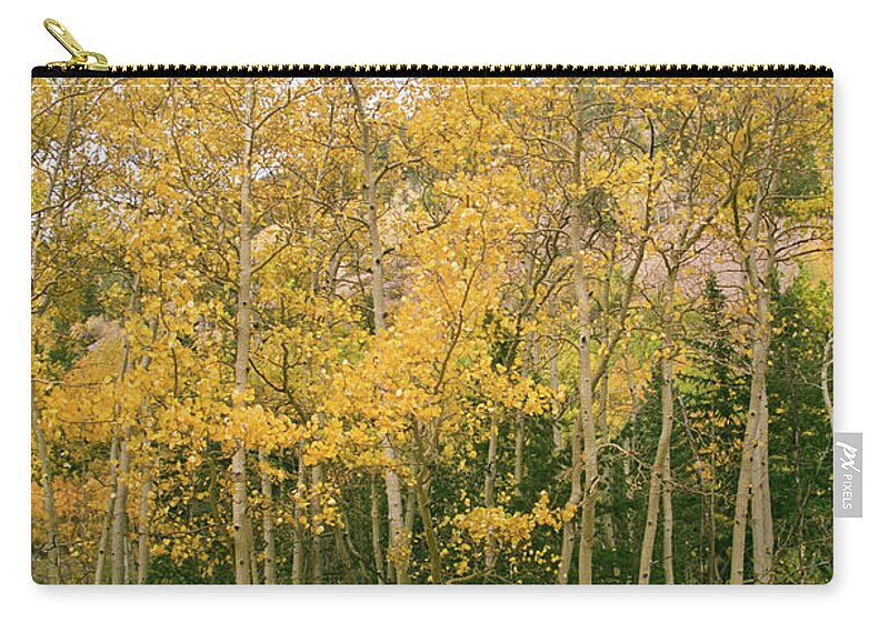 Colorado Zip Pouch featuring the photograph Layers of Yellow by Ana V Ramirez