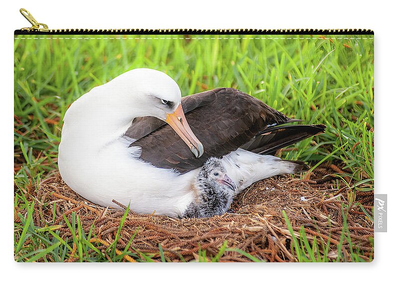 Kauai Zip Pouch featuring the photograph Laysan Albatross and Chick. by Doug Davidson