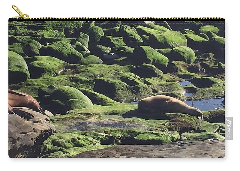 Photography Carry-all Pouch featuring the photograph Lazy Day at Seal Beach by Lisa White