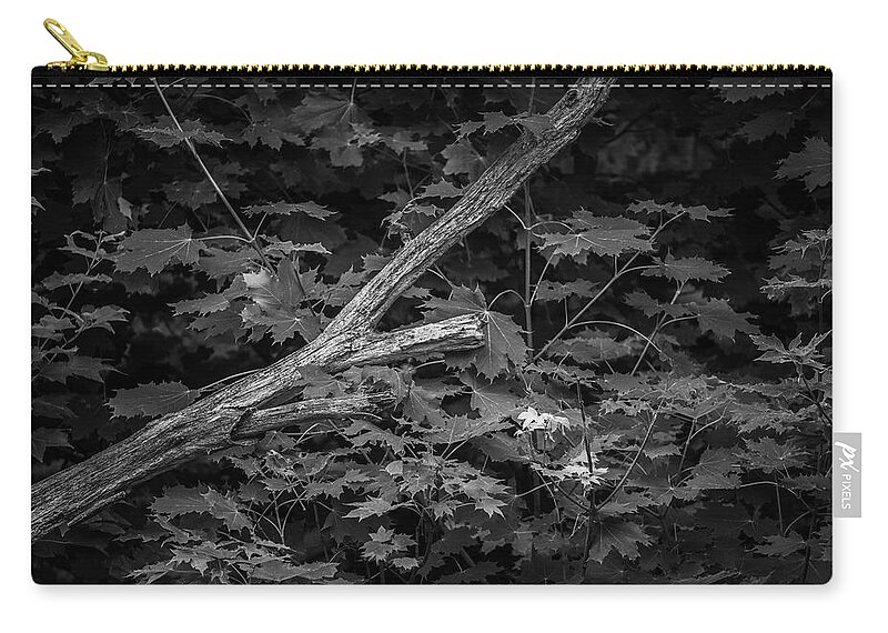 Arbor Zip Pouch featuring the photograph Leaning Tree I BW by David Gordon