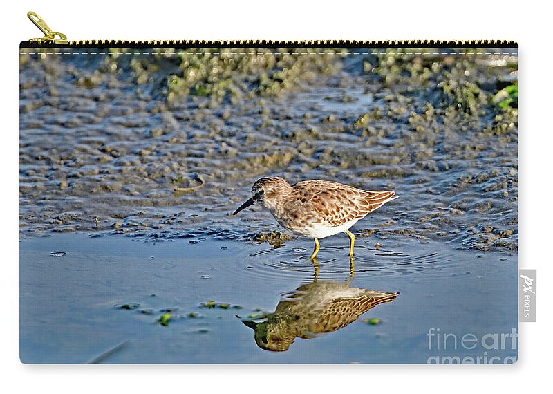 Least Sandpiper Zip Pouch featuring the photograph Least Sandpiper by Amazing Action Photo Video