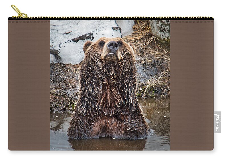 Nature Zip Pouch featuring the photograph Leave Me Alone Grizzly by Judy Cuddehe