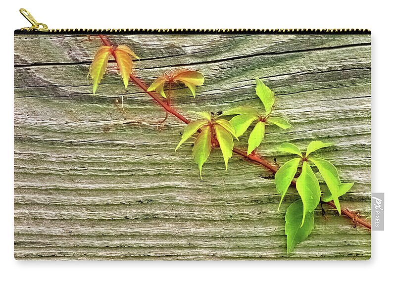 Leaves Zip Pouch featuring the photograph Leaves on Wood by Bob Falcone