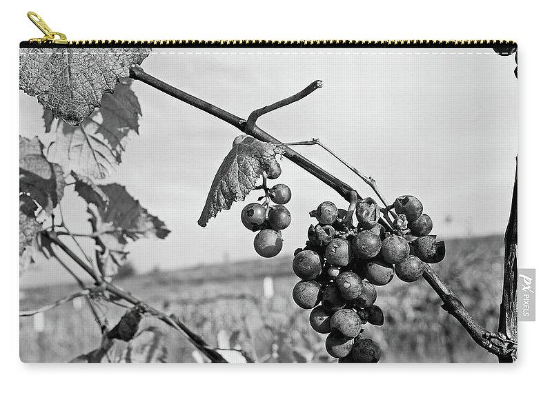 Fruit Zip Pouch featuring the photograph Left Behind by Lens Art Photography By Larry Trager