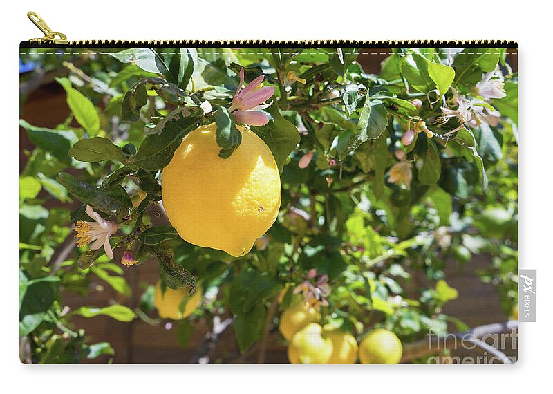 Lemon Tree Carry-all Pouch featuring the photograph Blooming lemon tree in the Mediterranean garden by Adriana Mueller