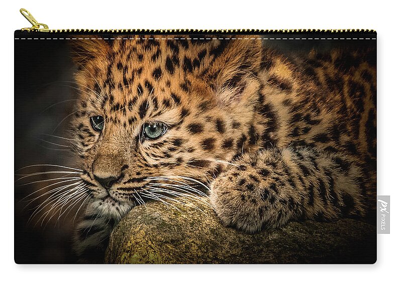 Wild Animal Zip Pouch featuring the photograph Leopard Cub by Chris Boulton