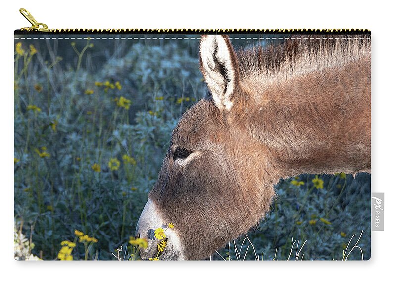 Wild Burros Zip Pouch featuring the photograph Let me Pick you a Flower by Mary Hone