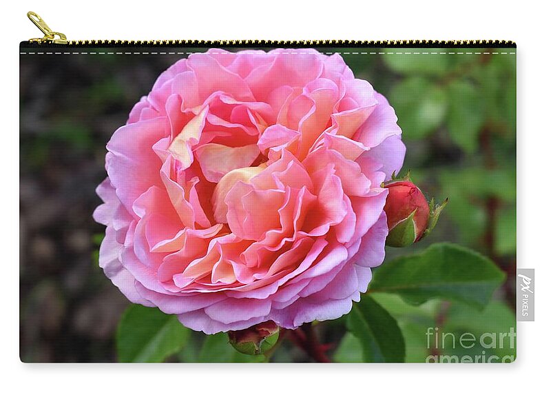 Nature Zip Pouch featuring the photograph Let me take you to Fields of Roses 004 by Leonida Arte
