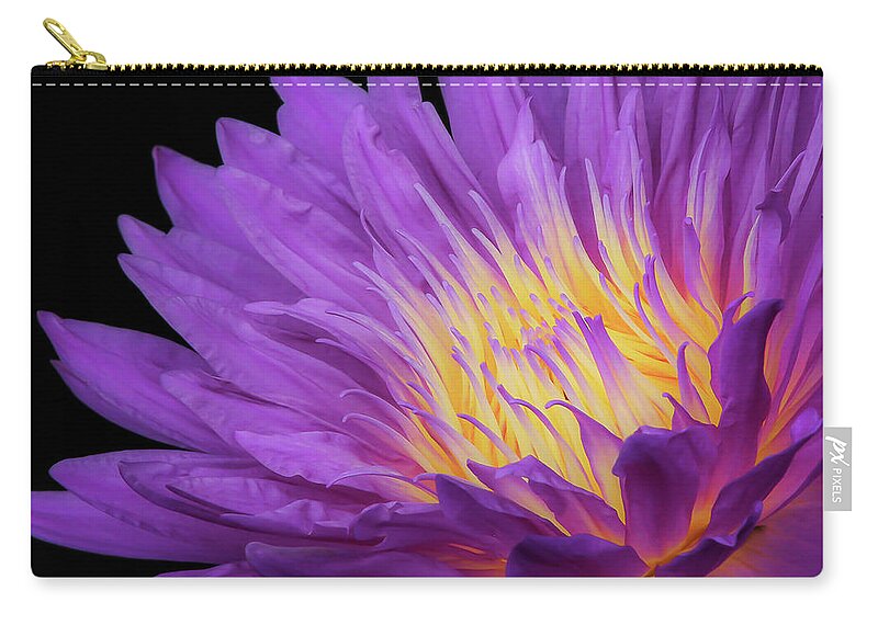 Water Lily Zip Pouch featuring the photograph Let there be Light by Sylvia Goldkranz