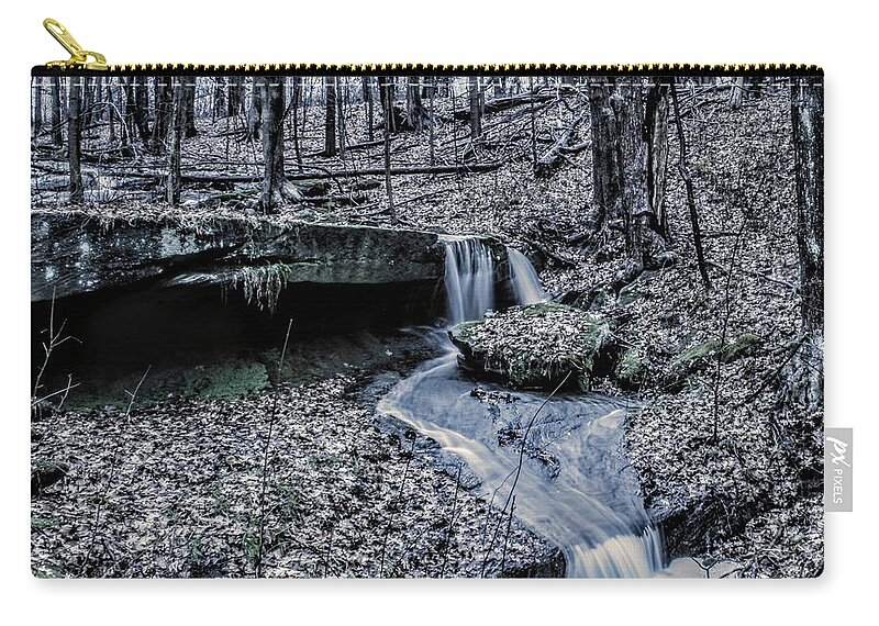  Carry-all Pouch featuring the photograph Liberty Park in the Fall by Brad Nellis