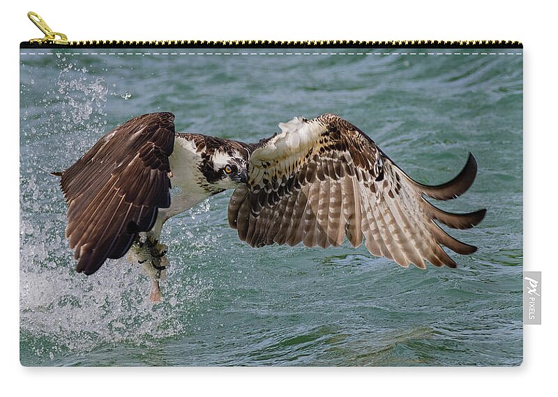 Osprey Zip Pouch featuring the photograph Lift Objective by RD Allen