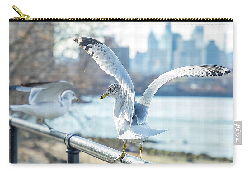 Seagull Zip Pouch featuring the photograph Lift Off by Cate Franklyn