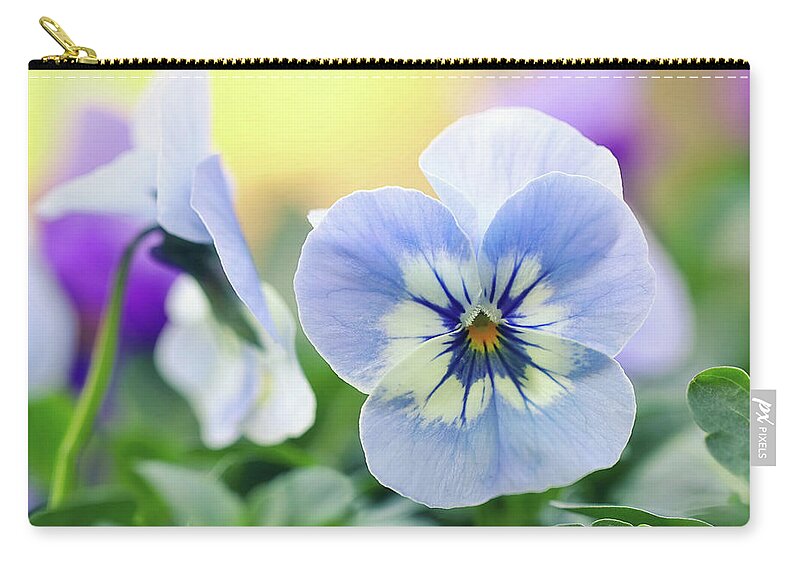 Pansy Zip Pouch featuring the photograph Light Blue Pansy by Maria Meester