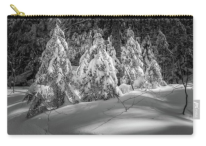 New Hampshire Zip Pouch featuring the photograph Light In The Winter Wood by Jeff Sinon