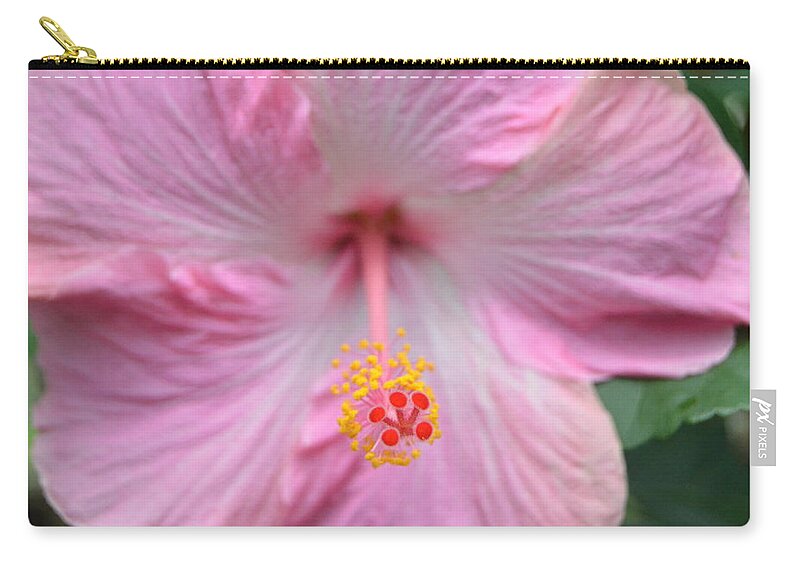 Flower Carry-all Pouch featuring the photograph Light Pink Hibiscus 3 by Amy Fose