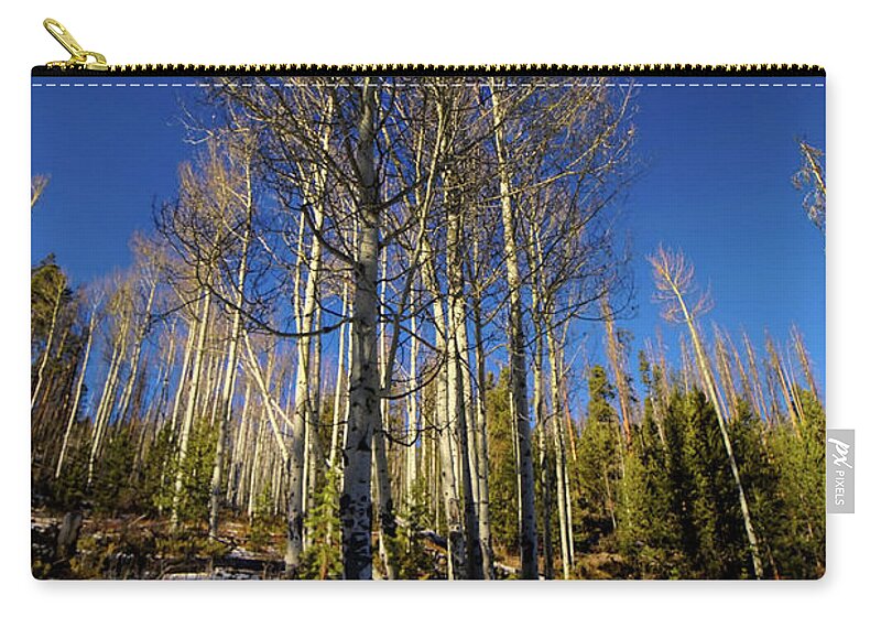 Colorado Aspens Zip Pouch featuring the photograph Light Through The Forest by Cathy Anderson