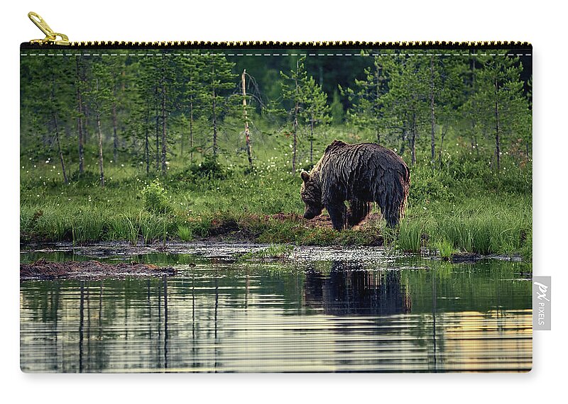 Boreal Wildlife Center Zip Pouch featuring the photograph Like a wet bear. Brown bear. by Jouko Lehto
