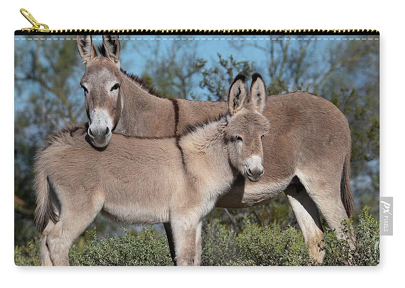 Wild Burros Zip Pouch featuring the photograph Like Mom by Mary Hone