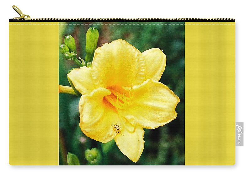 Stella D'oro Carry-all Pouch featuring the photograph Lil' Bug on Stella D'Oro by Nancy Ayanna Wyatt
