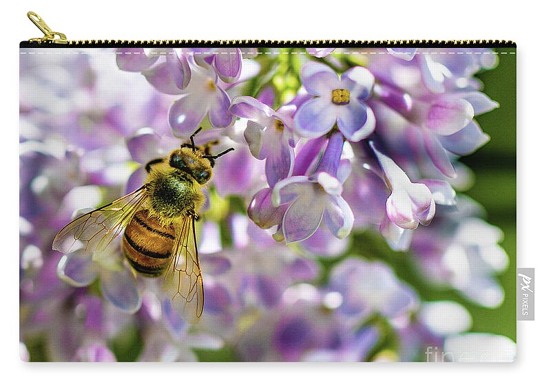 Lilac Zip Pouch featuring the photograph Lilac Bee by Darcy Dietrich