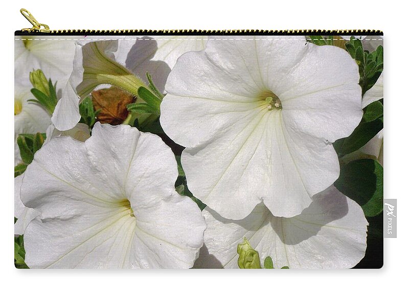 Lilies Zip Pouch featuring the photograph Lilies by Christopher Rowlands