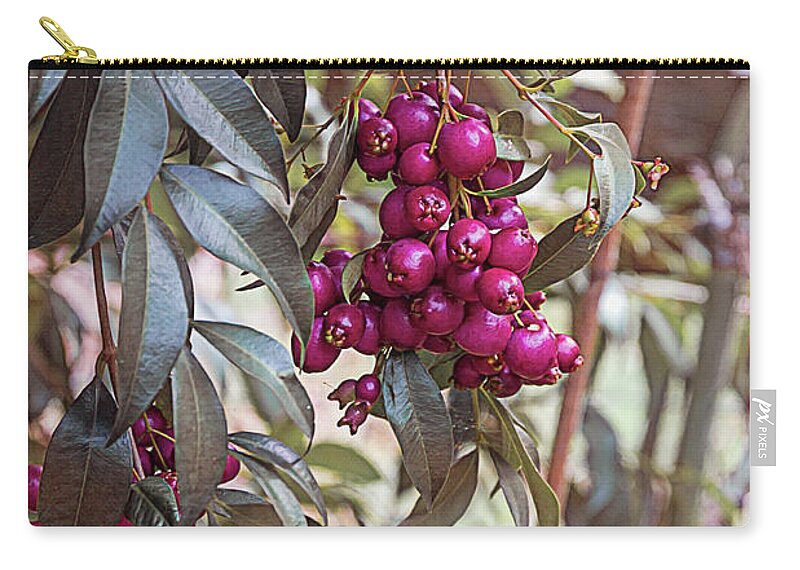 Lilly Pilly Zip Pouch featuring the photograph Lilly Pilly by Elaine Teague