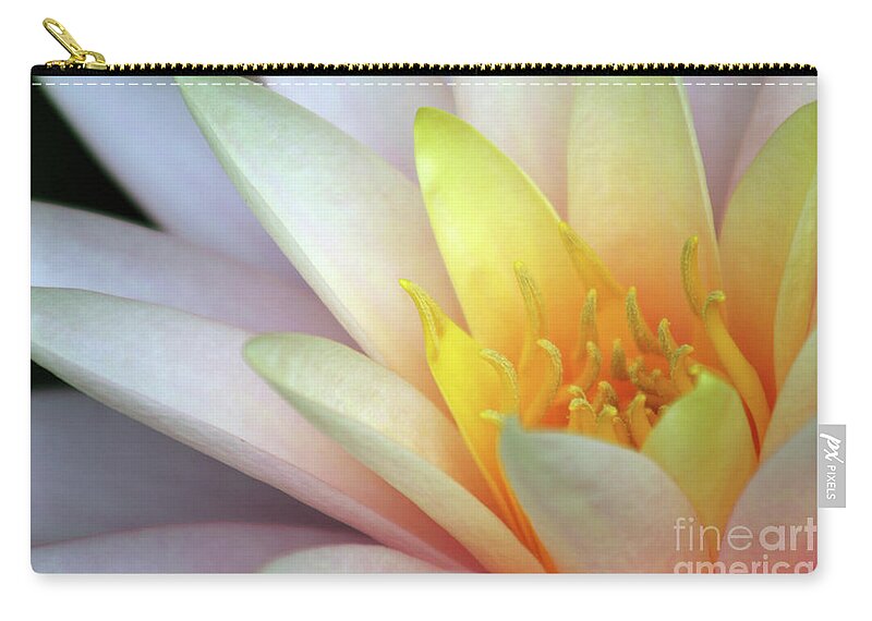 Water Lily; Water Lilies; Lily; Lilies; Flowers; Flower; Floral; Flora; Yellow; White Water Lily; White Flowers; Pink Flowers; Pink Lily; Black; Pink; Digital Art; Photography; Painting; Simple; Decorative; Décor; Macro; Close-up Zip Pouch featuring the photograph Lily Close-Up #2 by Tina Uihlein