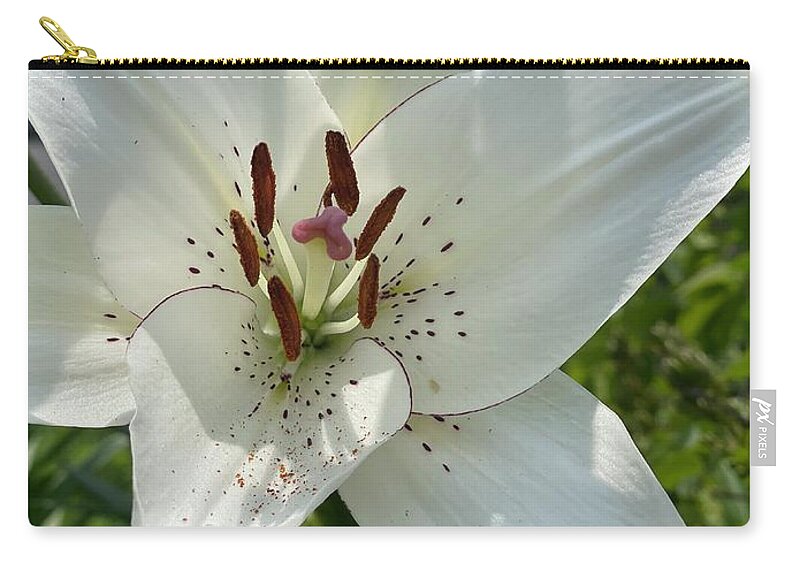 Lily Zip Pouch featuring the photograph Lily by Deena Withycombe