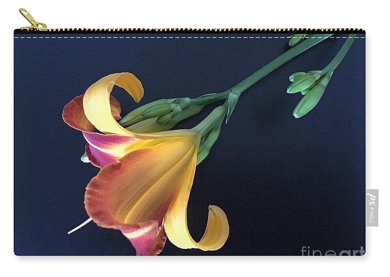 African Lily Zip Pouch featuring the photograph Lily Glow by Catherine Wilson