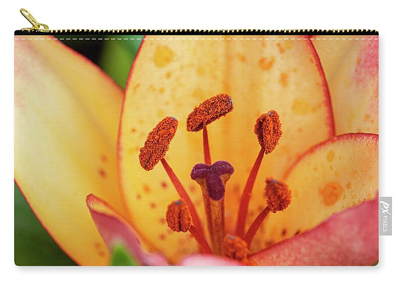 Lily Zip Pouch featuring the photograph Lily macro by Gareth Parkes