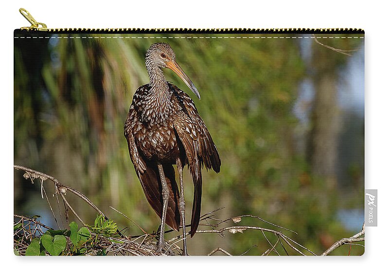 Limp Kin Zip Pouch featuring the photograph Limpkin by Les Greenwood