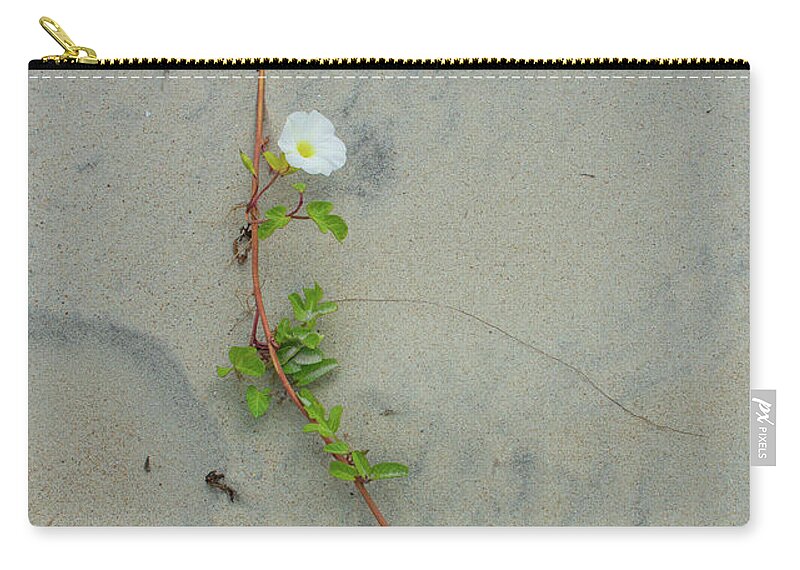 Minimalism Zip Pouch featuring the photograph Lines on the Sand by Liz Albro