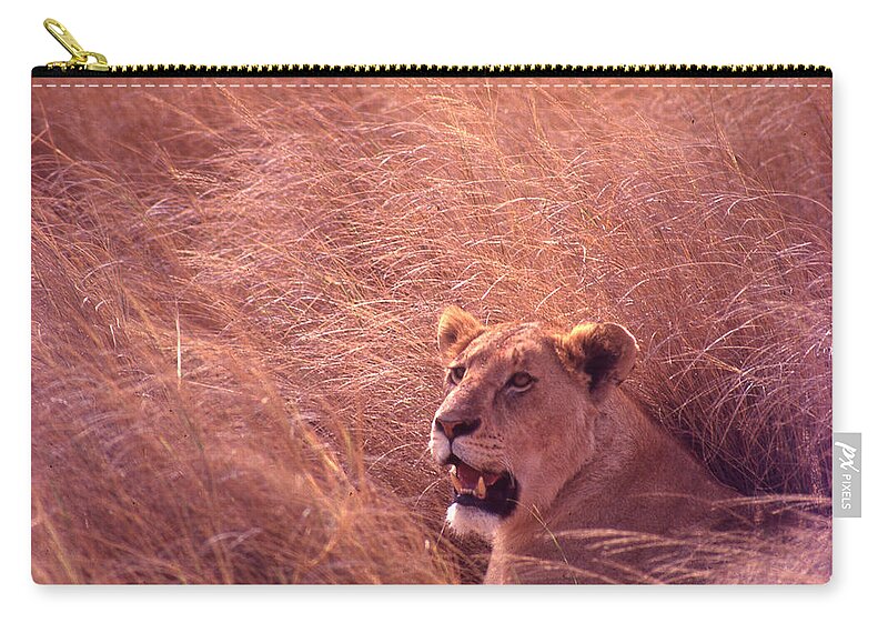 Africa Carry-all Pouch featuring the photograph Lioness in Tall Grass by Russ Considine