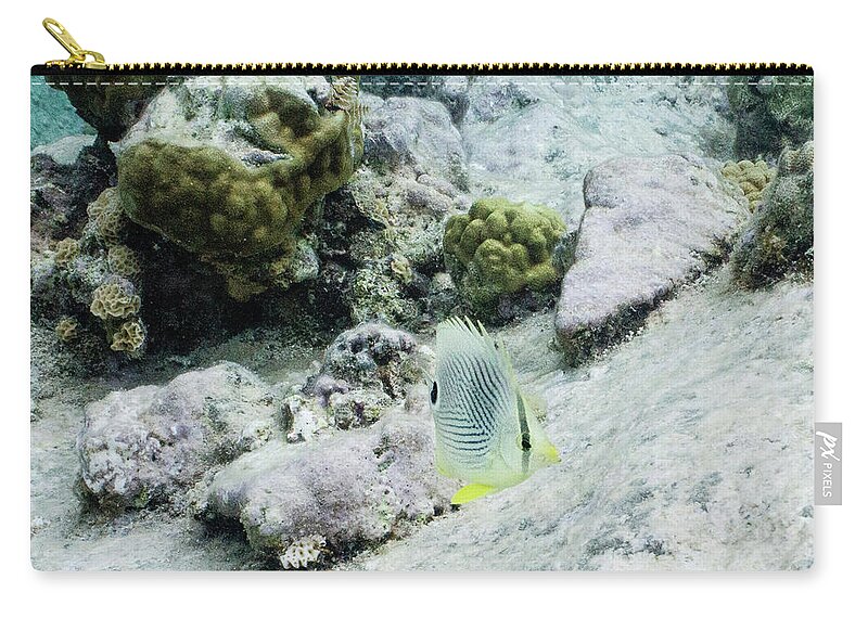 Animals Carry-all Pouch featuring the photograph Little Bit by Lynne Browne