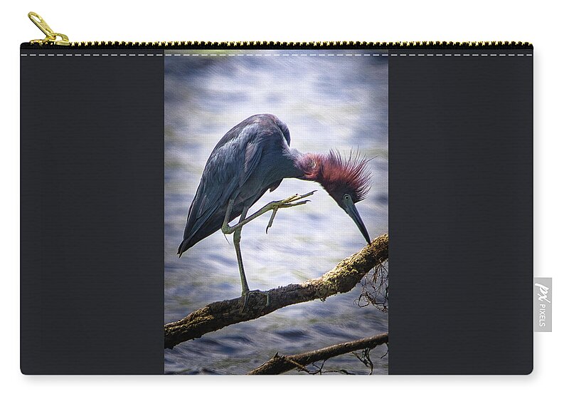 Heron Zip Pouch featuring the photograph Little Blue Heron Perched by Rene Vasquez