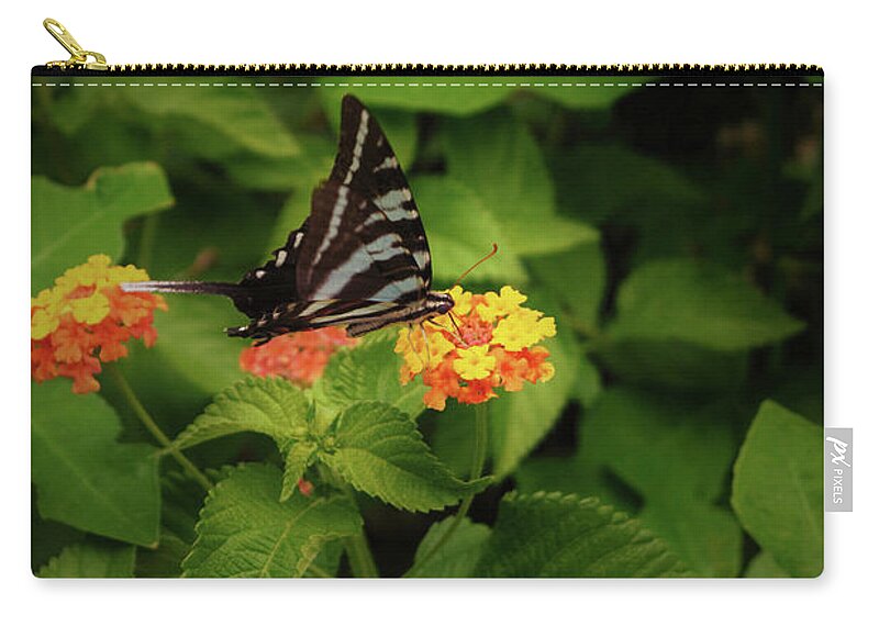 Butterfly Zip Pouch featuring the photograph Little Butterfly by Karen Harrison Brown
