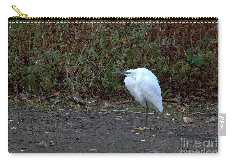 Nature Zip Pouch featuring the photograph Little Egret resting by Stephen Melia