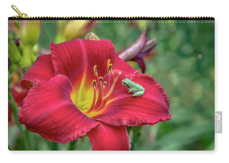 Red Carry-all Pouch featuring the photograph Little Frog on Daylily by Ron Grafe