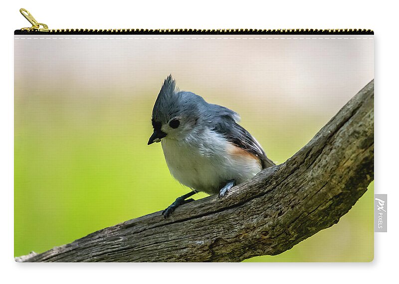 Bird Zip Pouch featuring the photograph Little Titmouse by Cathy Kovarik
