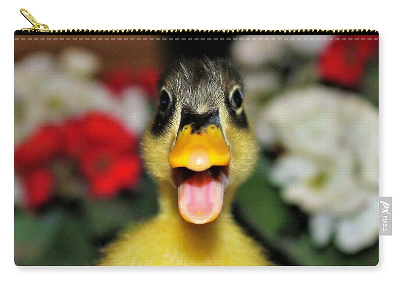 Duck Zip Pouch featuring the photograph Littlest Quacker by Shirley Dutchkowski