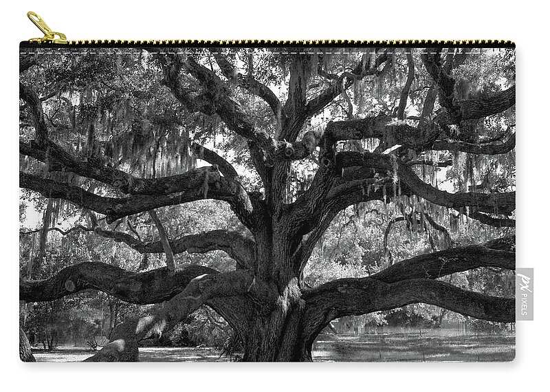 America Zip Pouch featuring the photograph Live Oak Tree in Black and White by James C Richardson