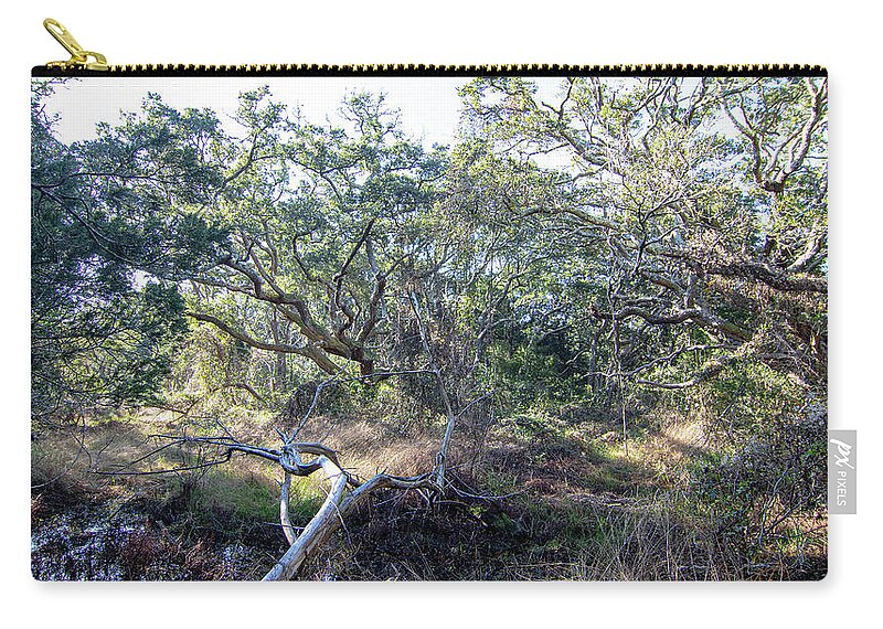 Live Oak Zip Pouch featuring the photograph Live Oak Tree Maritime Forest at Atlantic Beach North Carolina by Bob Decker