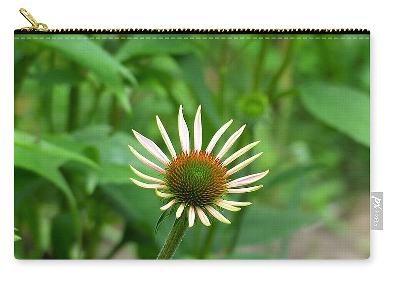Garden Flower Zip Pouch featuring the photograph Lone Beauty by Rosanne Licciardi